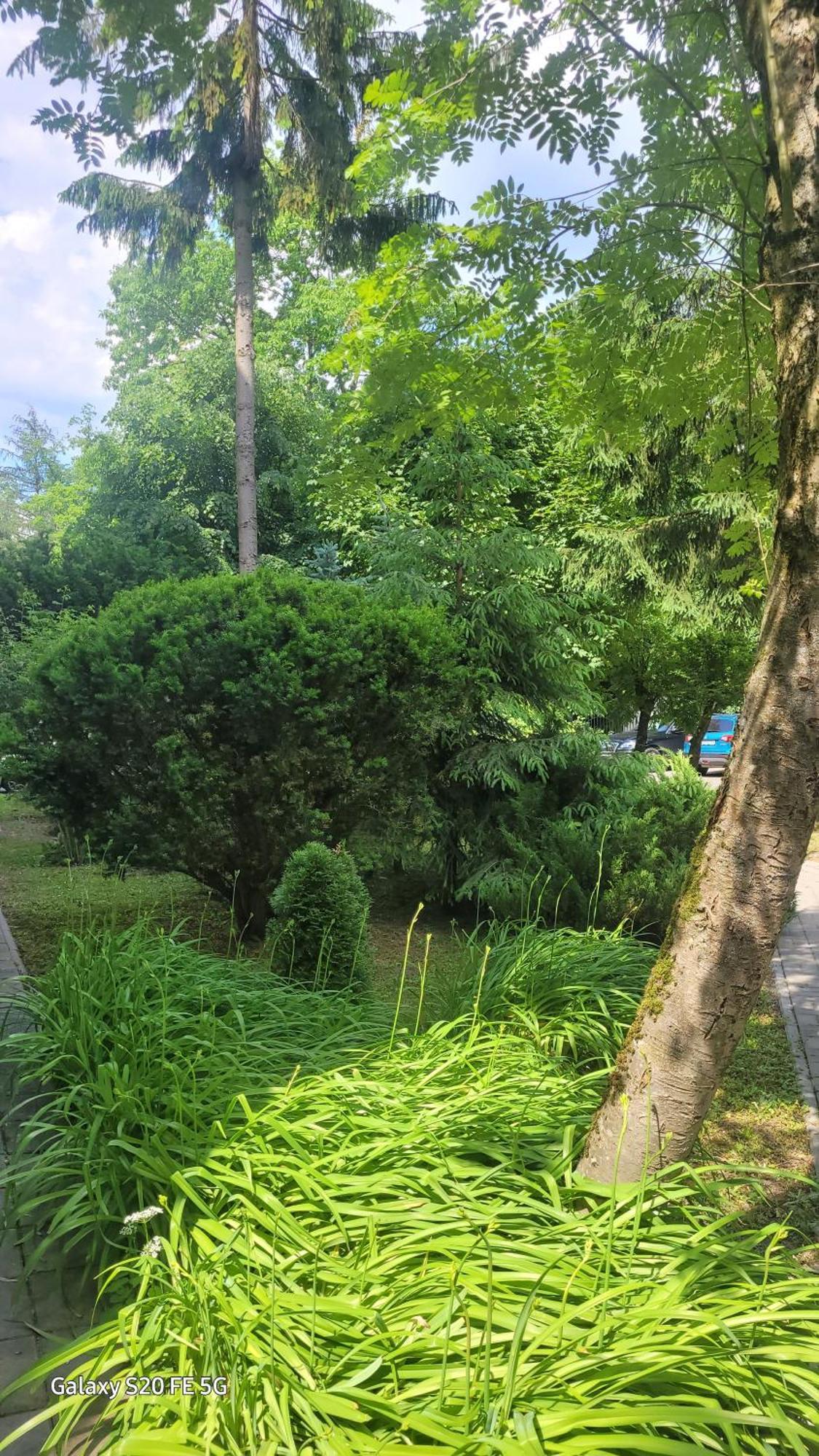 Apartament Przy Parku Nałęczów Esterno foto